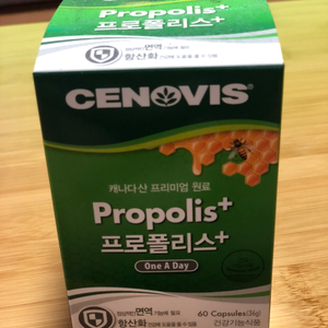 프로폴리스