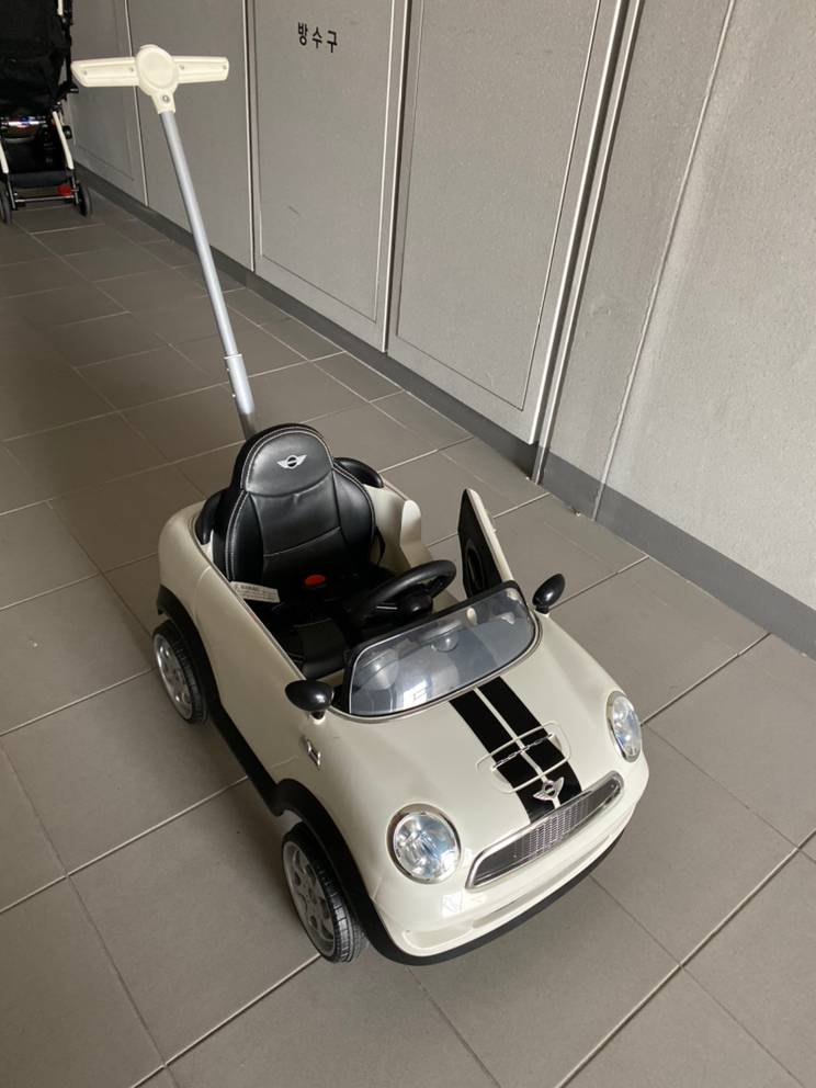 파파야 미니쿠퍼 푸쉬카--1