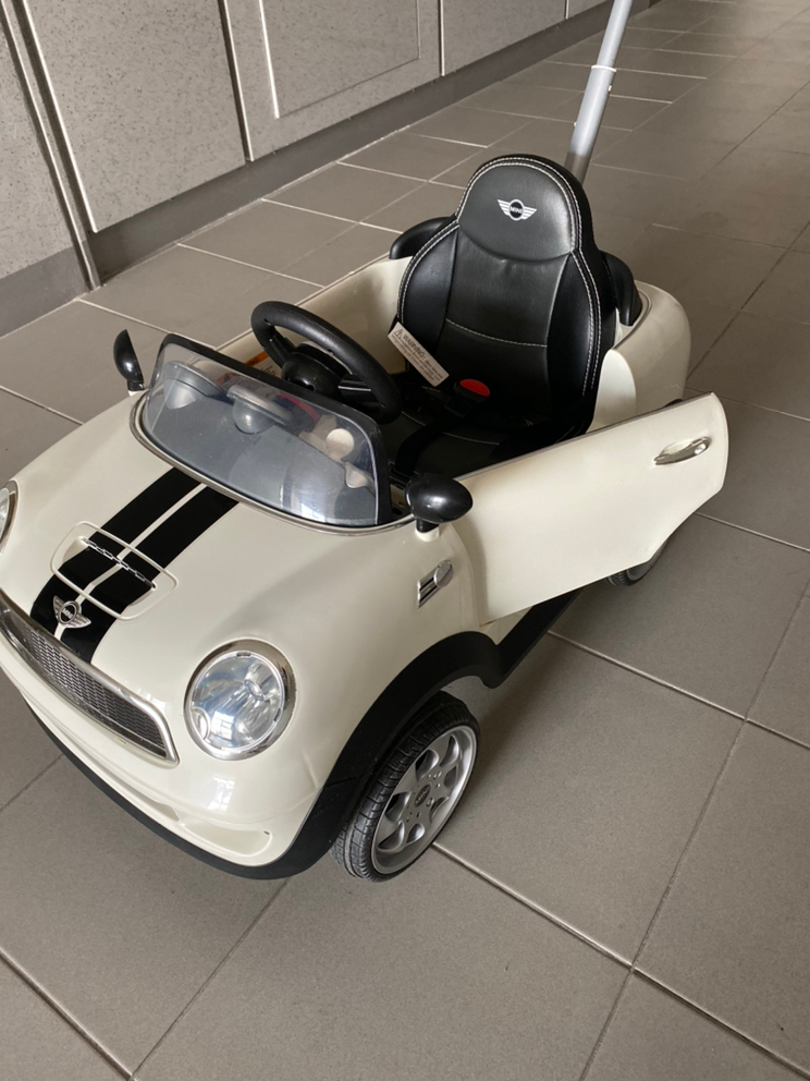 파파야 미니쿠퍼 푸쉬카--2