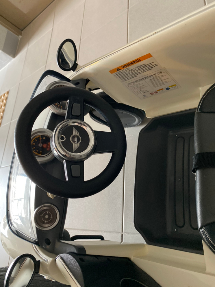 파파야 미니쿠퍼 푸쉬카--3