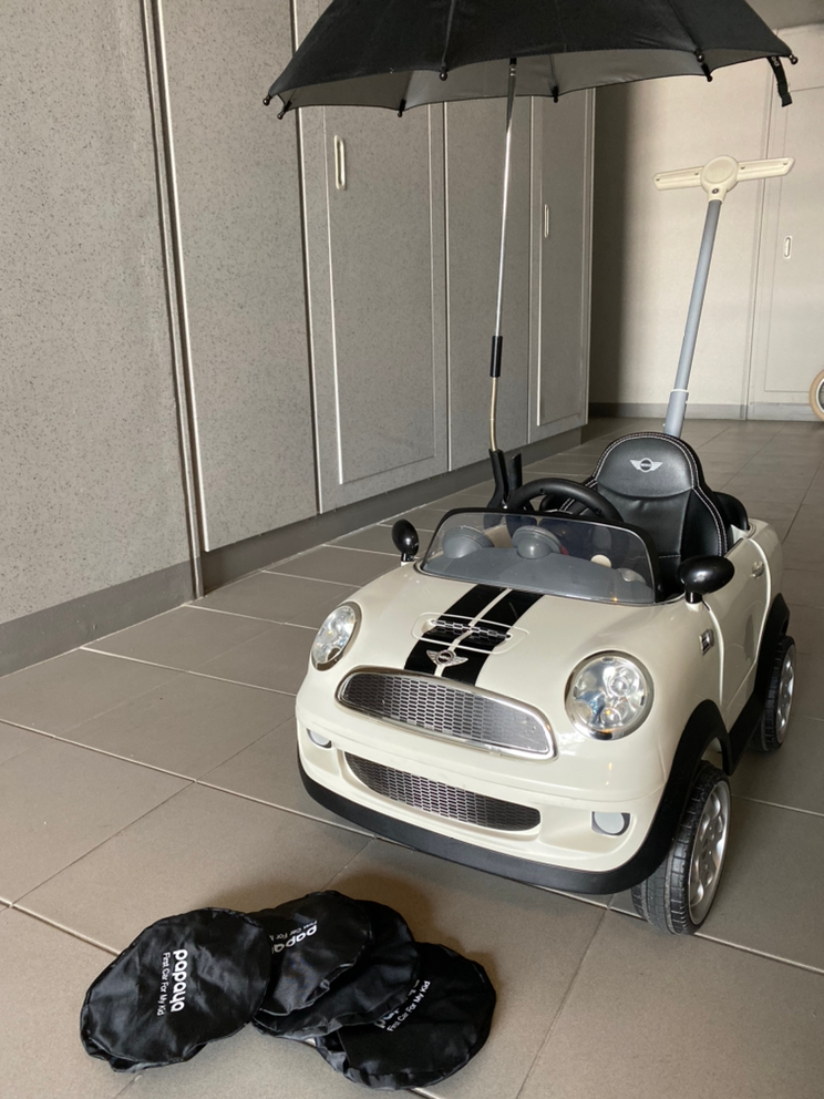 파파야 미니쿠퍼 푸쉬카--6