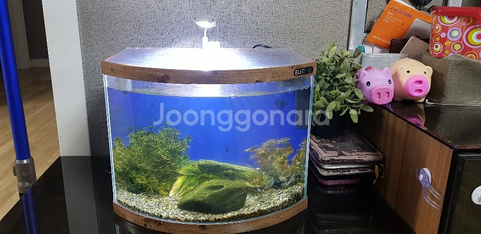 어항세트팝니다--0