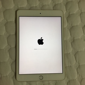 ipad mini3