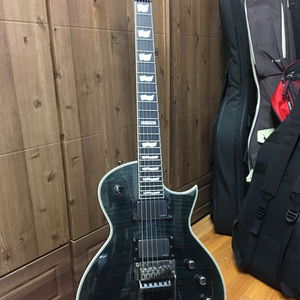 esp ltd ec-1001fr 일렉기타