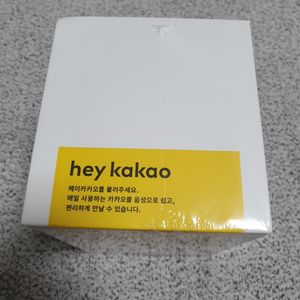 카카오미니c