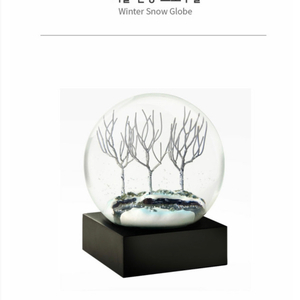 스노우볼 워터볼 CoolSnowGlobes