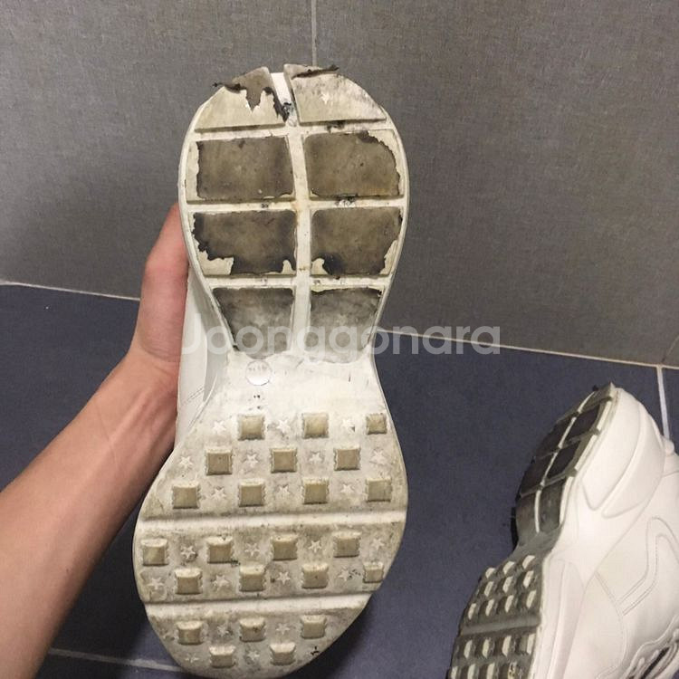 구찌 라이톤 띠로고 41.5--6