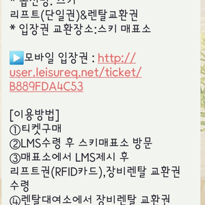 비발디파크 리프트 렌탈권 팝니다