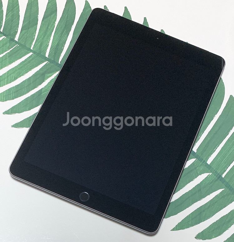 아이패드 6세대 셀룰러 32gb a급--1