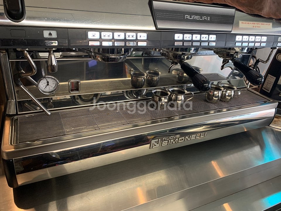 시모넬리 아우렐리아 v2 3그룹--0