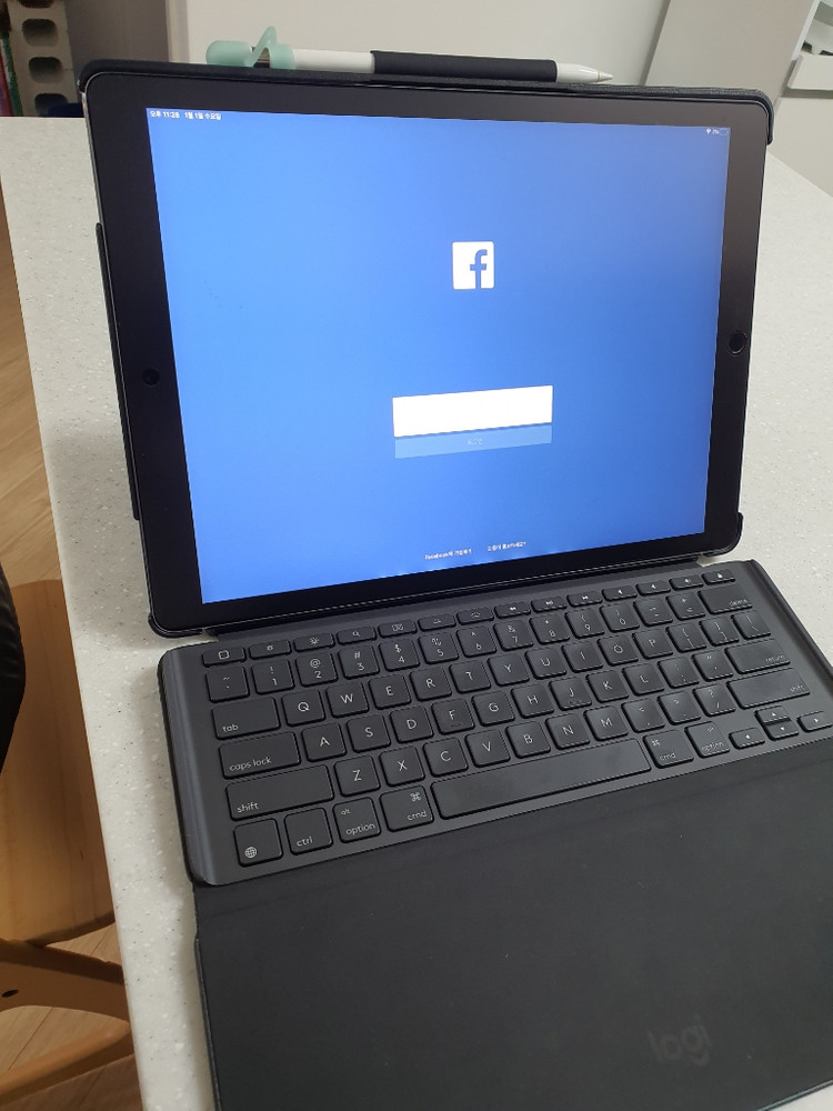 아이패드 프로 2세대 wifi 12.9인치 64G +펜--0