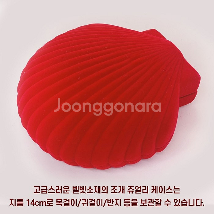 쥬얼리 세트(조개케이스)--6