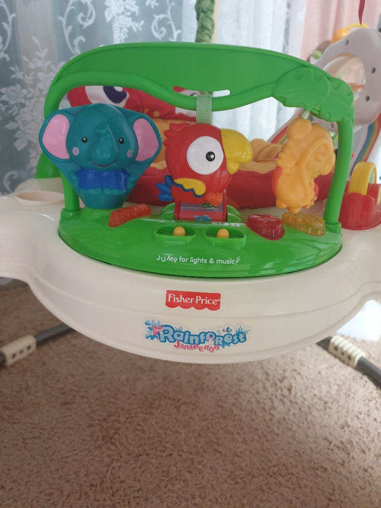 개구리점퍼루--3