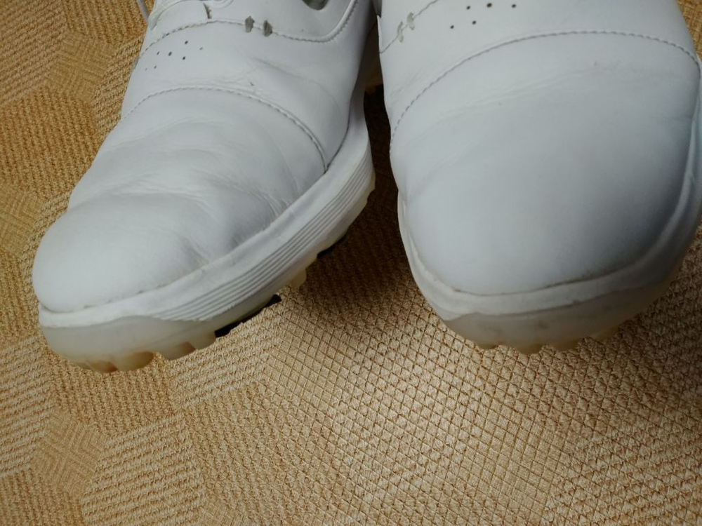 나이키골프화(255) 이미지