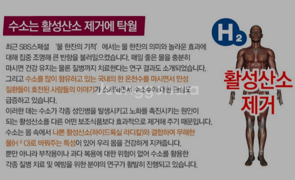 현성바이탈 지바쿠아 수소수기--5