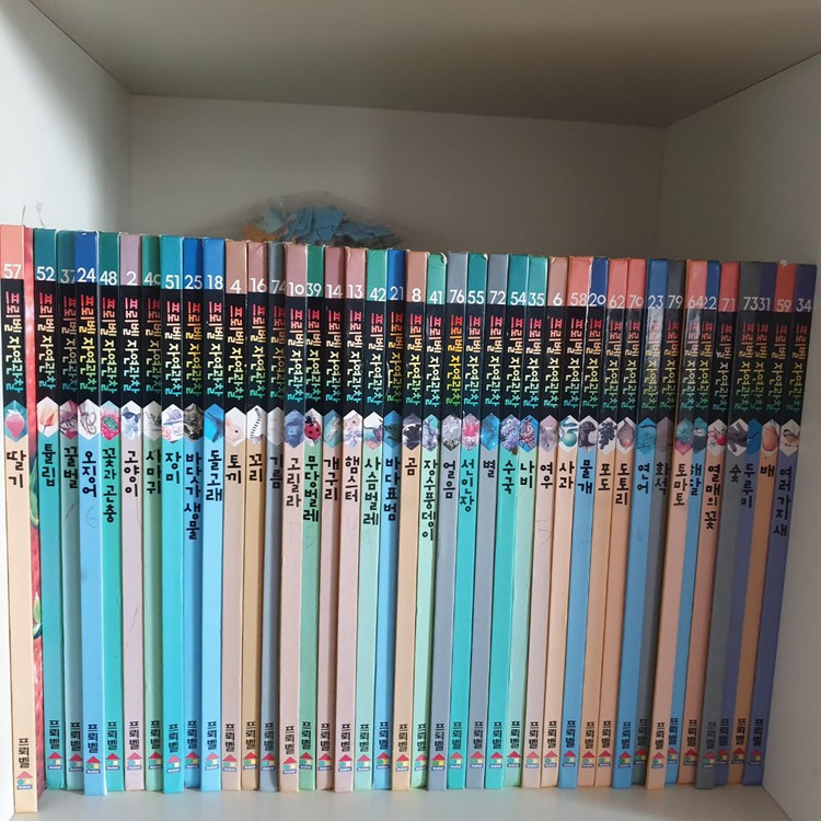 프뢰벨 자연관찰 이미지