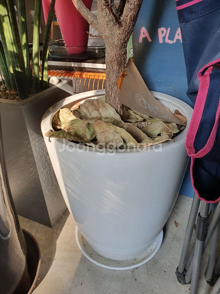 화분 설거지 헹거잡수납장--1