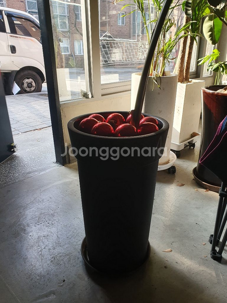 화분 설거지 헹거잡수납장--2