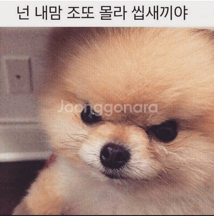 데페 우드 150 삽니다--0