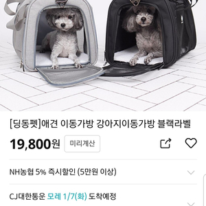 강아지가방