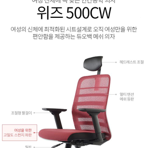 듀오레이디 듀오백 WI-500CW 여성용 학생용 의자