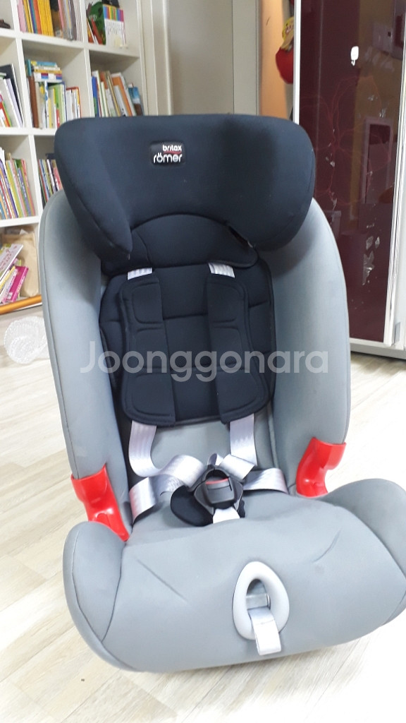 브라이텍스어드밴스픽스3--2