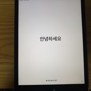 아이패드 미니 5 셀룰러 64g
