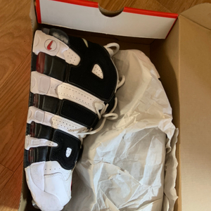 나이키 업템포 스카티 피펜