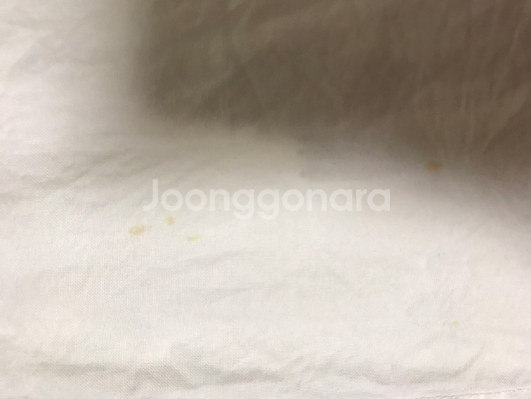 라코스테 흰색 여자 난방 34사이즈--1