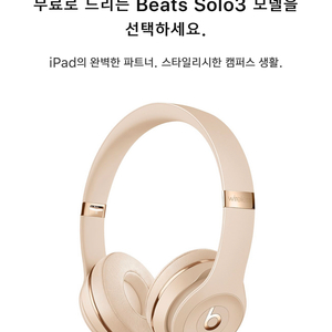 부산 Beats Solo3 wireless 색상선택