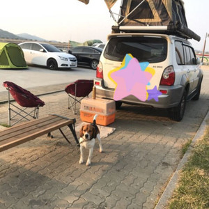 루프탑 텐트, 어넥스, 어닝, 어닝룸 ; 판매 완료