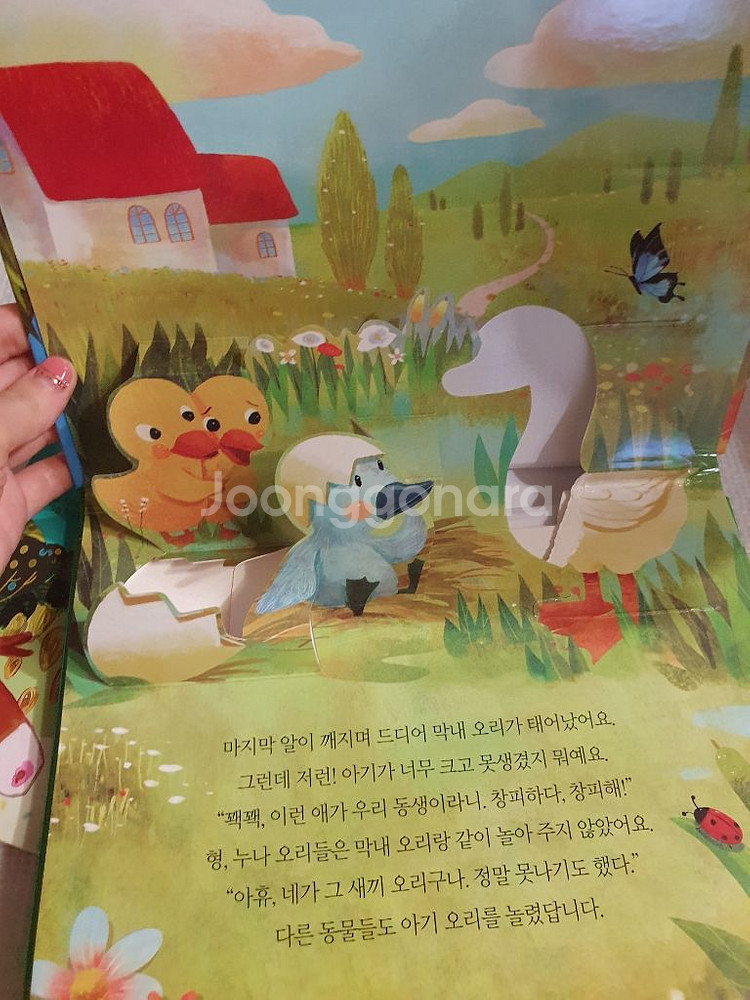 블루래빗 팝업북--3