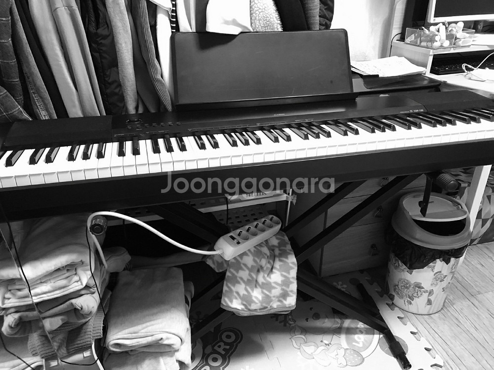 카시오 디지털피아노 cdp-135--1