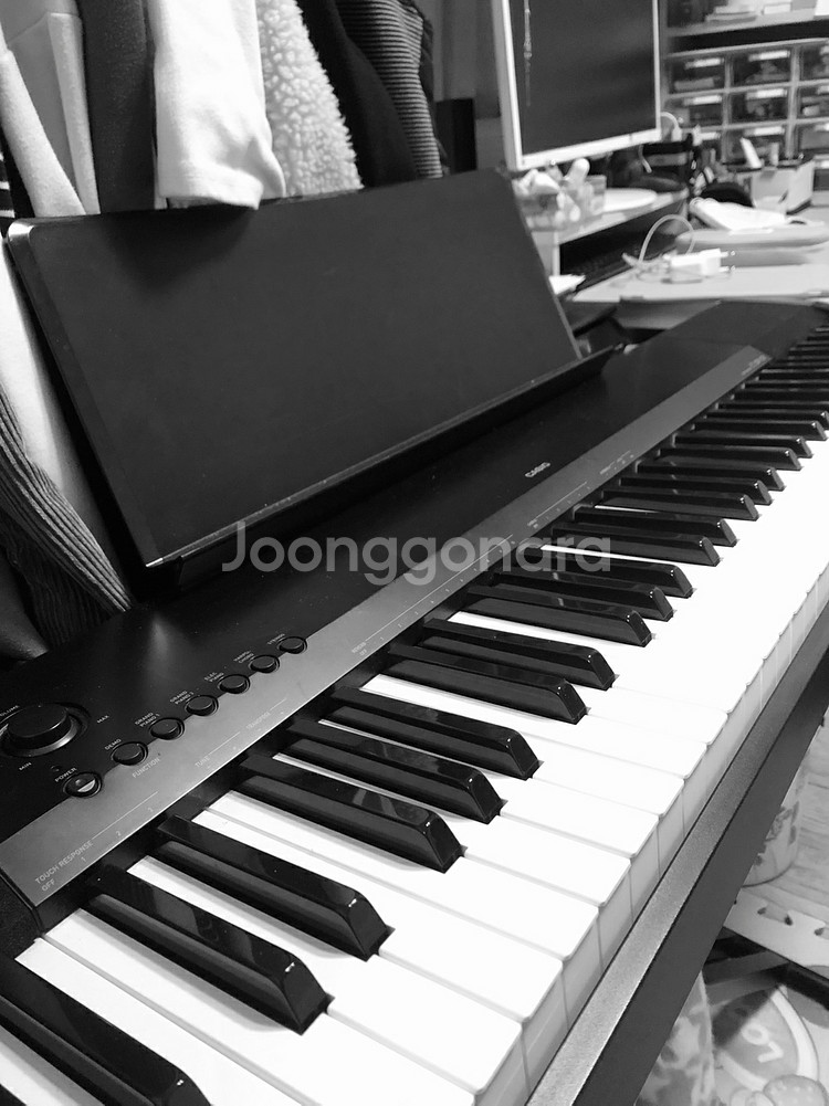 카시오 디지털피아노 cdp-135--2