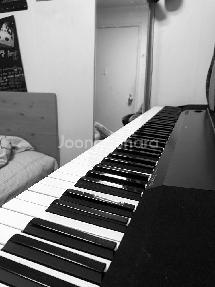 카시오 디지털피아노 cdp-135--3