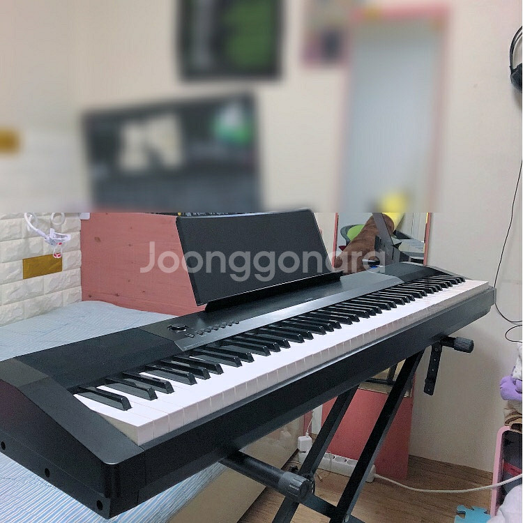 카시오 디지털피아노 cdp-135--5