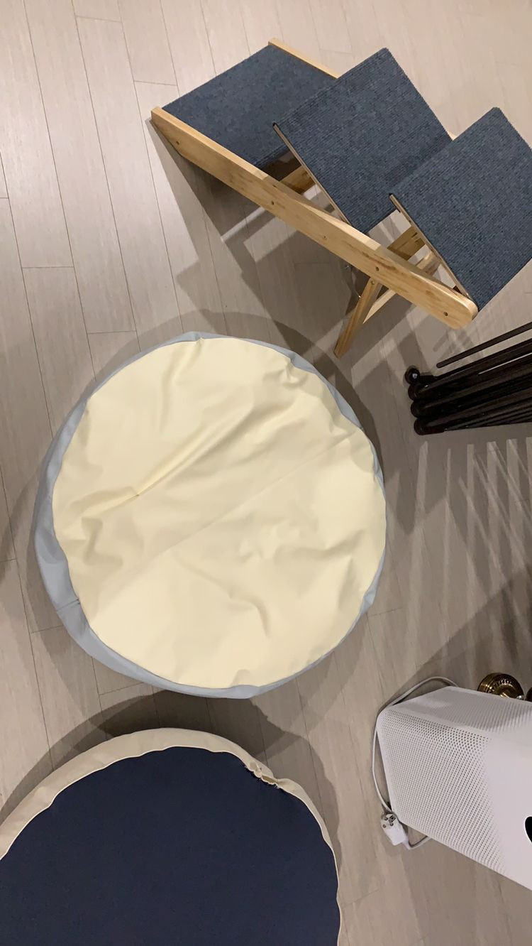 딩동펫 애견 계단 급매요^^--4