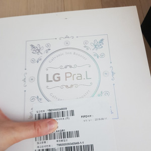 LG프라엘 갈바닉 아이온 부스터