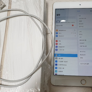 아이패드 미니 4 wifi, 128g ipad mini