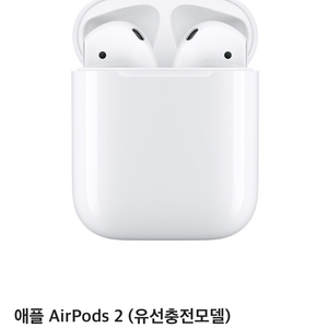 애플 AirPods2(유선충전모델)