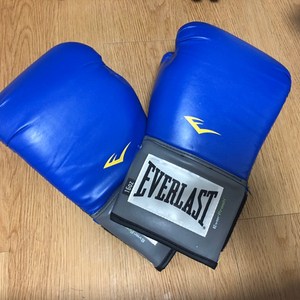 에버라스트 권투글러브 16oz
