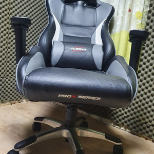 AKRACING Gaming Chair [TYPE-4]