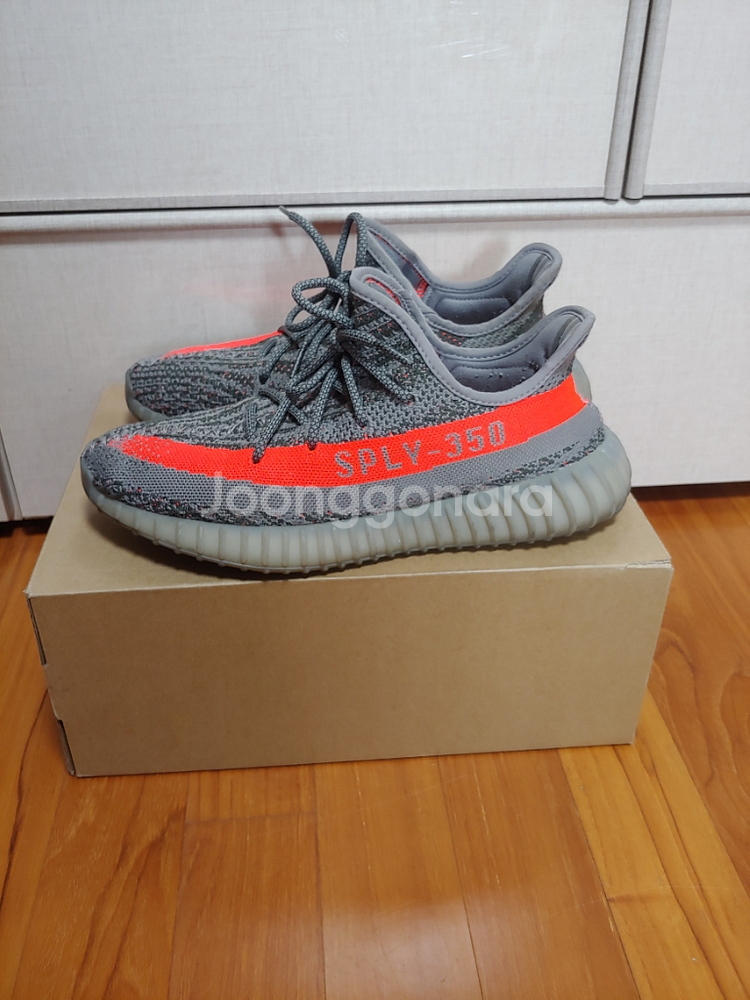 (280) 이지부스트 350 v2 벨루가 1.0솔라레드--1