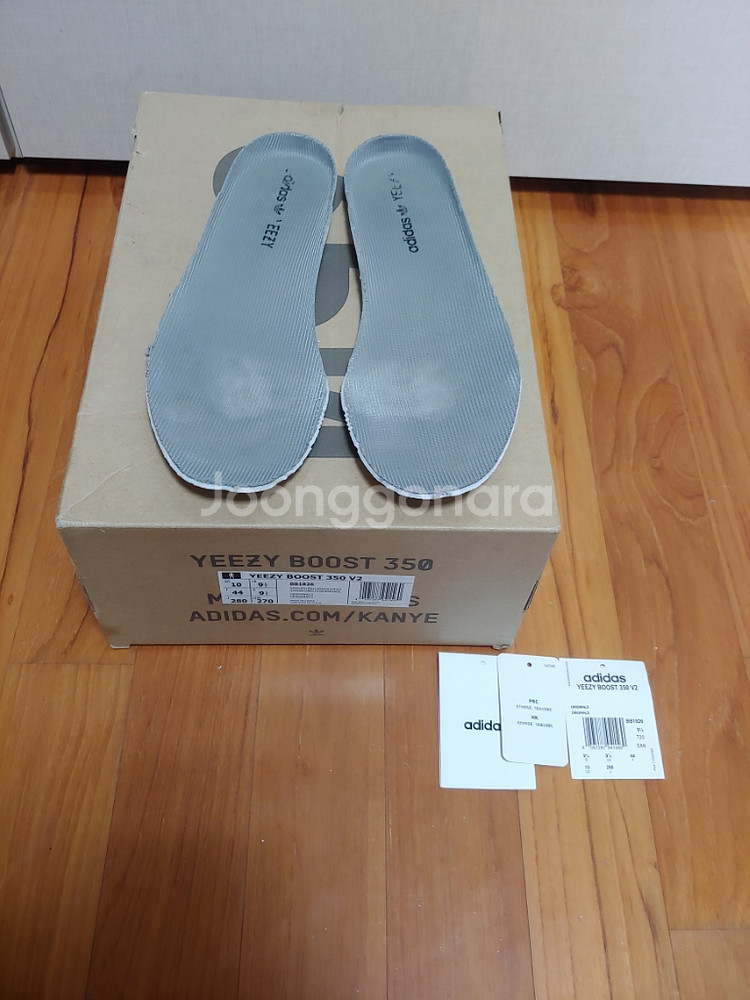 (280) 이지부스트 350 v2 벨루가 1.0솔라레드--7