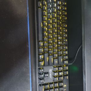 cox ck 800