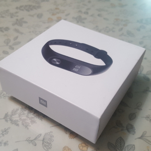 샤오미 미맨드 2 (Mi band 2)