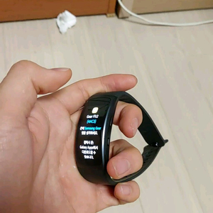 삼성 Gear fit2