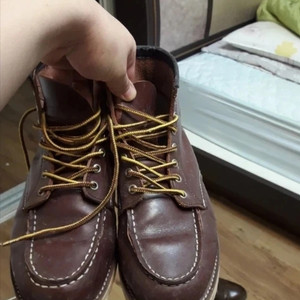 레드윙 워커 265