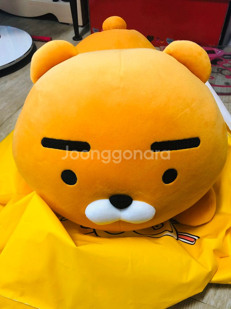 카카오프렌즈 바디필로우 라이언 인형--0