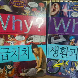 WHY 만화책